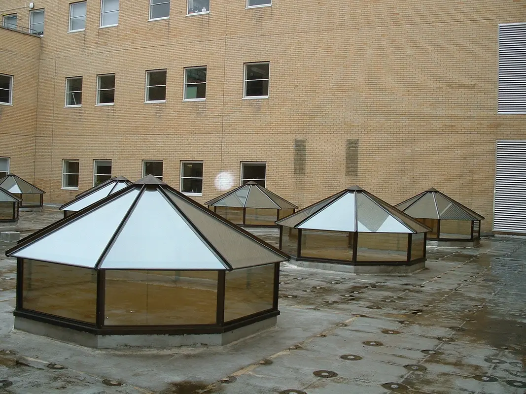 Flat Roof Skylights Clapham Junction